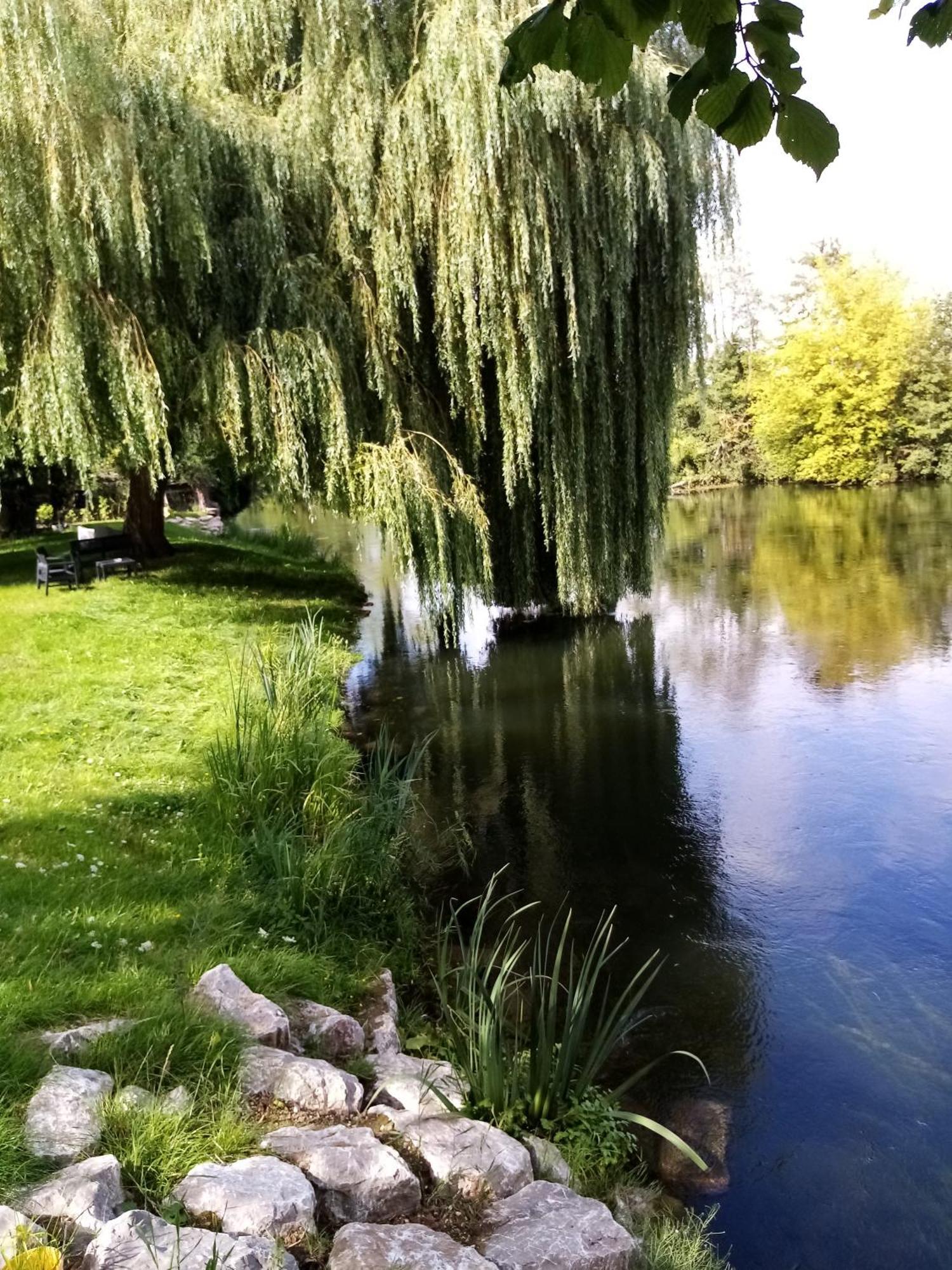 Havre De Paix Au Bords De L'Eure - Divers Hebergements Garennes-sur-Eure Экстерьер фото